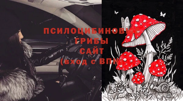 мяу мяу мука Абдулино