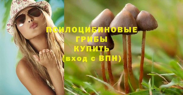 мяу мяу мука Абдулино