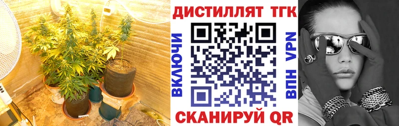 ТГК Wax  Сольцы 