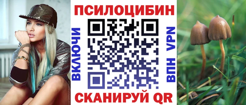 наркота  Сольцы  Псилоцибиновые грибы Psilocybe 